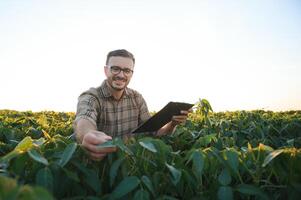 agricultor agrônomo dentro soja campo verificação plantações. orgânico Comida Produção e cultivo foto