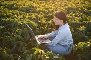 uma lindo fêmea agricultor ou agrônomo inspeciona soja dentro a campo às pôr do sol. a conceito do agrário negócios. foto