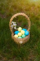 pintura ovos para páscoa, brilhante Páscoa feriado, crianças pintura ovos, colori ovos dentro uma cesta, colori ovos em uma ficar em pé, feriado fundo foto
