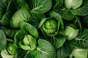 ai gerado bok choy legumes verde fresco saudável orgânico Comida agricultura agricultura folhas foto