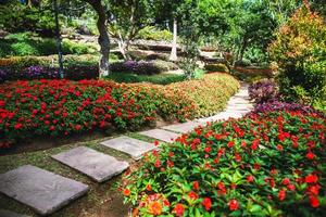 a bela natureza do parque de flores, parque público adequado como pano de fundo. foto