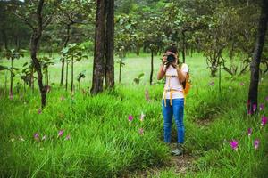 mulher asiática viajar natureza. viajar relaxar. fotografia campo de flores sessilis de pepino. foto