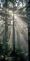 ai gerado luz solar através denso floresta foto