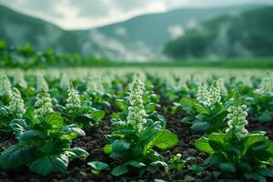 ai gerado verde legumes crescer dentro uma campo e estão dentro cheio Visão foto