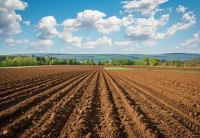 ai gerado sulcos. agrícola campo em que crescer acima batatas foto