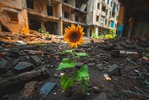 ai gerado girassol crescendo acima a partir de a destroços, Pedregulho foto