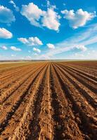 ai gerado sulcos linha padronizar dentro arado campo preparado para plantio cultivo dentro Primavera. foto