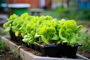 ai gerado exuberante e vibrante orgânico legumes florescente dentro uma moderno jardim cama para sustentável vivo foto