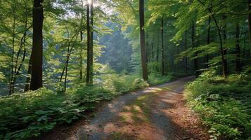 ai gerado caminho através denso floresta foto