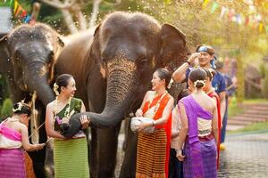 grupo do tailandês adolescente e crianças porcelana tailandês tradicional vestir jogar para borrifar água em a tailandês Novo anos dia ou songkran festival dentro uma Diversão caminho com elefante em Sol brilhante fundo. foto