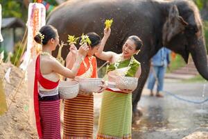 lindo tailandês jovem senhora porcelana tailandês tradicional vestir usar flores para borrifar água em cada de outros em a tailandês Novo anos dia dentro uma Diversão caminho em borrado elefante e pilha do areia fundo. foto