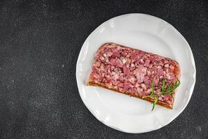 carne terrina fatia patê Campagne carne pão carne de porco carne torta saboroso fresco saudável comendo cozinhando Aperitivo refeição Comida lanche em a mesa cópia de espaço Comida fundo foto