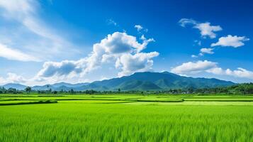 ai gerado arroz campo natureza fundo foto