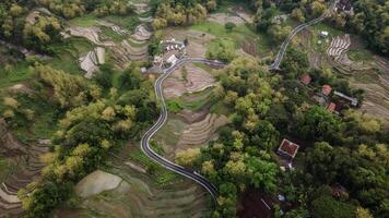 aéreo Visão do asfalto estrada enrolamento entre florestas e lindo verde arroz Campos. foto