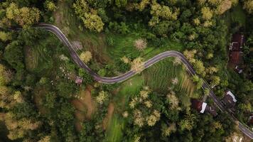 aéreo Visão do asfalto estrada enrolamento entre florestas e lindo verde arroz Campos. foto