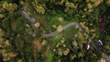 aéreo Visão do asfalto estrada enrolamento entre florestas e lindo verde arroz Campos. foto