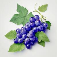 ai gerado azul uvas com folha. realista azul uvas. uvas fruta fotografia. uvas foto branco fundo.