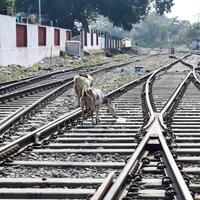 Visão do trem estrada de ferro faixas a partir de a meio durante dia às Kathgodam estrada de ferro estação dentro Índia, trem estrada de ferro rastrear visualizar, indiano estrada de ferro junção, pesado indústria foto