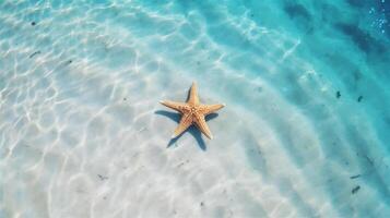 ai gerado estrelas do mar em branco areia debaixo azul oceano água. verão fundo com cópia de espaço. verão paraíso. Claro mar água com mar estrela. ai generativo foto