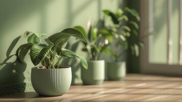 ai gerado plantas dentro panelas adicionar vegetação e natural charme para a área. foto