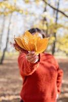 jovem feliz recolhendo folhas na floresta de outono foto