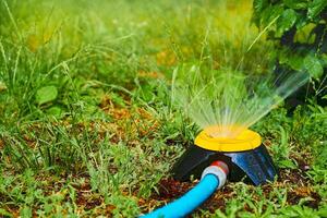 aspersor rega flores em uma quente dia, irrigação sistema, jardinagem, paisagismo foto