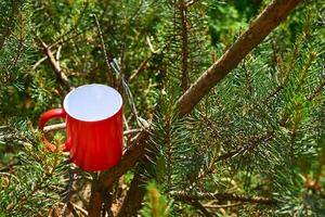 caneca vermelho copo para uma beber suspensão em uma árvore dentro a crepúsculo do uma verão dia foto