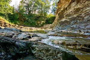 a fluxo do uma montanha rio entre a pedra rochas, exuberante verde foto