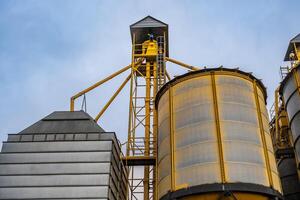 silos em agroindustrial complexo com semente limpeza e secagem linha para grão armazenamento foto