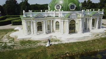 recém-casados caminhando dentro parque com histórico edifícios. criativo. topo Visão do fabuloso andar do recém-casados dentro Estado em verão dia. lindo território do velho Estado com jardim foto