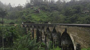 lindo panorama com casal caminhando em ponte dentro selva. Ação. fabuloso casal anda em em pedra ponte dentro selva. pitoresco tropical panorama com ponte e casal dentro amor dentro selva foto