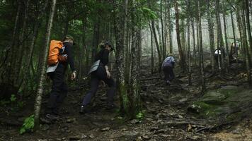 grupo do turistas é caminhando em montanha trilha dentro denso floresta. grampo. turistas escalar montanha declive dentro verde floresta. turistas andar ao longo a trilha acima floresta declive foto