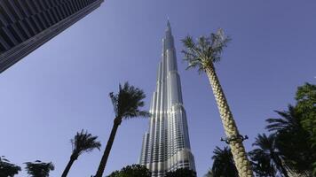 burj Khalifa dentro a cidade do dubai, Unidos árabe emirados. Ação. baixo ângulo Visão do uma gigante arranha-céu e Palma árvores foto