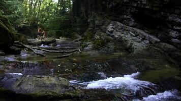 lindo verão Riacho e verde selvas. criativo. frio água corrente e pessoas em a fundo. foto