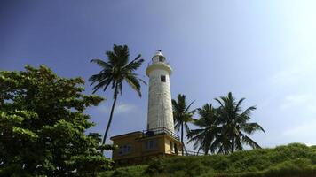 uma farol dentro a meio do uma tropical selva. Ação. verde vegetação às verão recorrer. foto