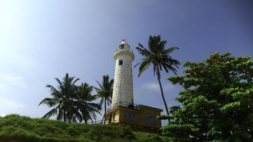 uma farol dentro a meio do uma tropical selva. Ação. verde vegetação às verão recorrer. foto