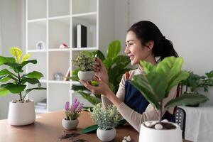 a conceito do eco amigáveis habitação, plantar Cuidado e jardinagem. preparando jardim. relaxar casa jardinagem. jardineiro mulher ásia mão plantio flor dentro Panela. sorridente mulher leva Cuidado do plantar foto