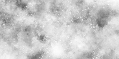 neve queda dentro a neve dentro a inverno manhã, brilho do sol ou espumante luzes e cintilante brilho inverno manhã do neve queda fundo, abstrato bokeh brilhar fundo em borrado branco. foto