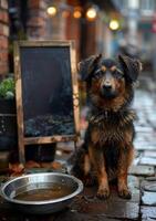 ai gerado cachorro senta lado de fora bar com tigela do água foto