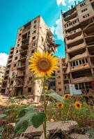 ai gerado girassóis flor dentro frente do a destruído edifícios dentro a cidade foto