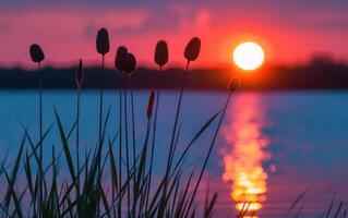 ai gerado a fogosa esfera do a configuração Sol brilha intensamente atrás recortado cattails às a água Beira foto