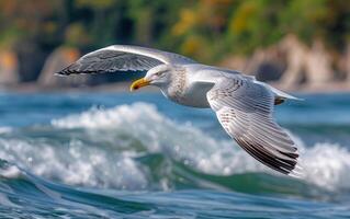 ai gerado uma gaivota desliza sobre a agitado mar, uma magistral exibição do aviária graça e liberdade foto