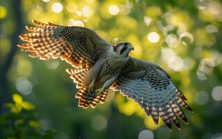 ai gerado majestoso peregrino falcão dentro voar foto