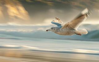 ai gerado capturando a dinâmico movimento do uma gaivota levando voar foto