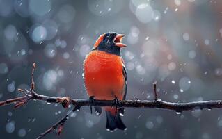 ai gerado vermelho Dom-fafe em uma Nevado ramo foto