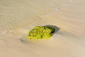 ondas suavemente lapidação a costa perto uma verde Rocha foto