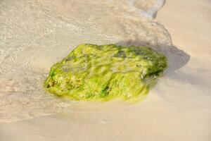 □ Gentil ondas rolando em terra por aí uma verde Rocha foto