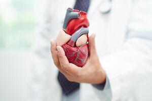 cardiovascular doença cvd, médico com coração humano modelo anatomia para tratamento paciente dentro hospital. foto