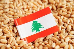 Líbano bandeira em grão trigo, comércio exportação e economia conceito. foto