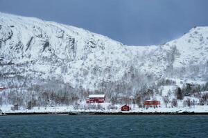 rd rorbu casas dentro Noruega dentro inverno foto